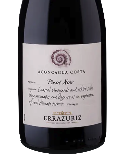(image for) Errazuriz Las Pizarras Pinot Noir 2022 [VM 95]